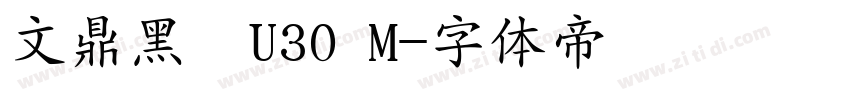 文鼎黑體U30 M字体转换